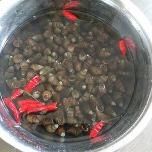 Ốc xào dừa