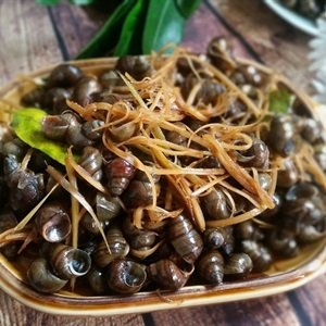 Ốc xào dừa