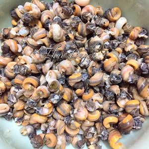 Cách nấu bún ốc Hà Nội - ảnh 2.